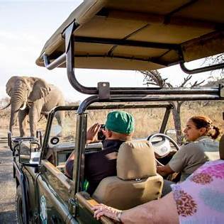 Luxury African safari tourists watching wildlife from open-roof vehicle