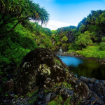 A rocky stream and small waterfall bordered by dense green vegetation in Oheo Gulch, Kipahulu District.