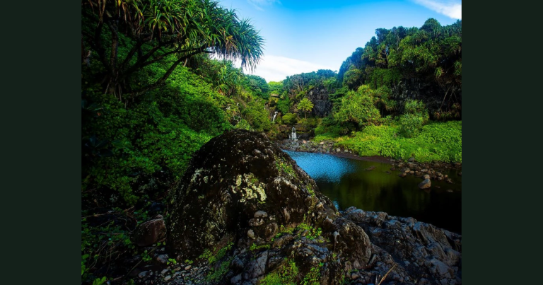 A rocky stream and small waterfall bordered by dense green vegetation in Oheo Gulch, Kipahulu District.